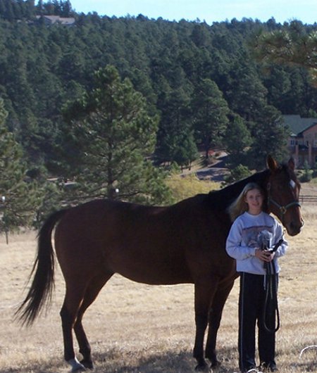 Equine Homeopathic Consult