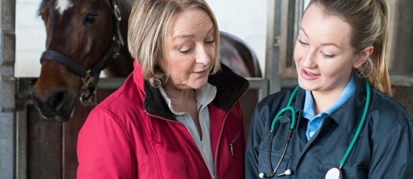 Mentoring Program with DVM Madalyn Ward