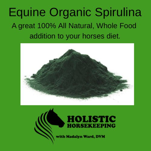 Spirulina