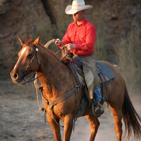 Audio: The Metal Horse Teleconference MP3 File