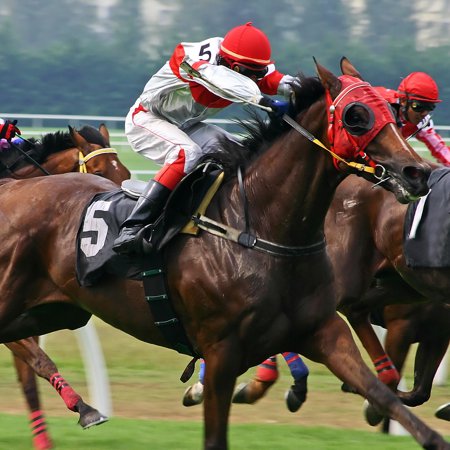 Audio: The Wood Horse Teleconference MP3 File