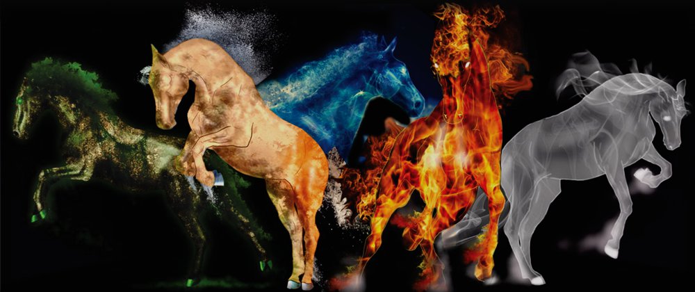 Horse Harmony Foreword by Wendy Murdoch