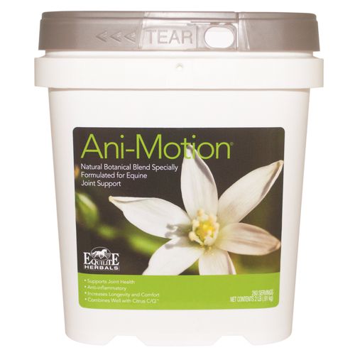 Equilite/Arenus Ani-Motion