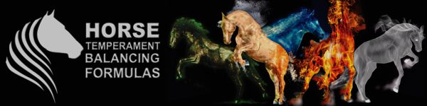 Horse Harmony Temperament Typing