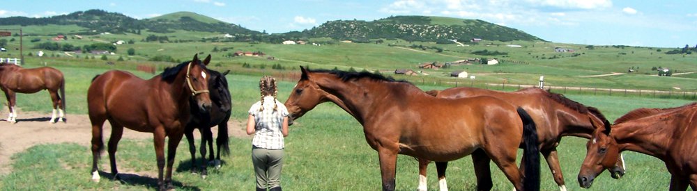 Mentoring Program with DVM Madalyn Ward