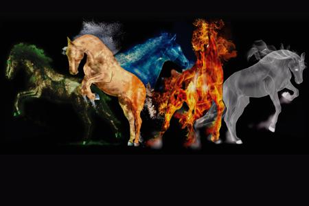 Other Holistic Horse Products from Reputable Sellers