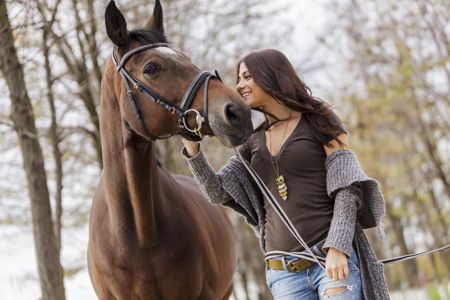 Search By Product Brand