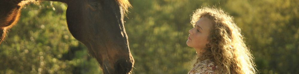 Recommended Reading Five Element Horse Types and Temperaments