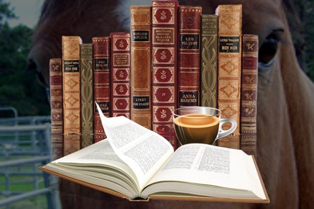 Recommended Reading about Holistic Horse Care