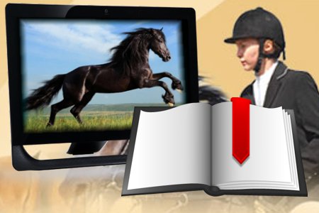 Courses and books about Holistic Horse Care